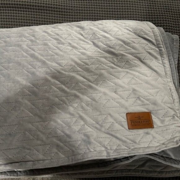 Pendleton Weighted Blanket  (Gray) - Picture 1 of 5